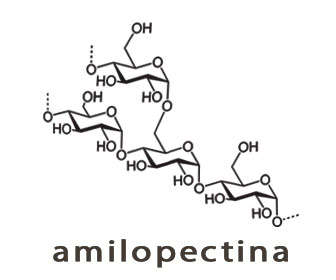 amilopectina estructura