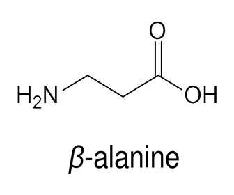 betaalanina estructura quimica