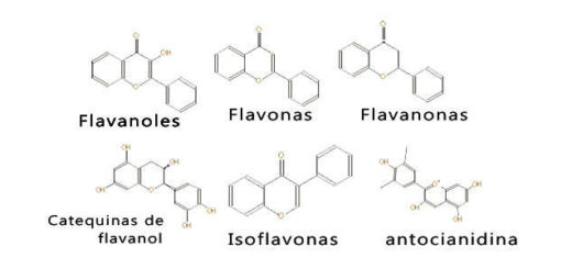 tipos de bioflavonoides y estructura química