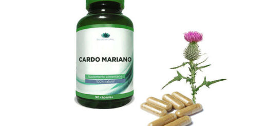 Propiedades y beneficios del cardo mariano