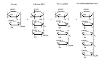 fructooligosacaridos estructura