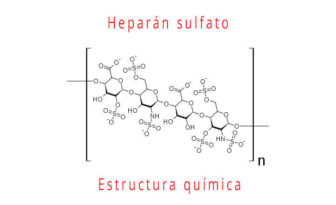 heparan sulfato estructura química