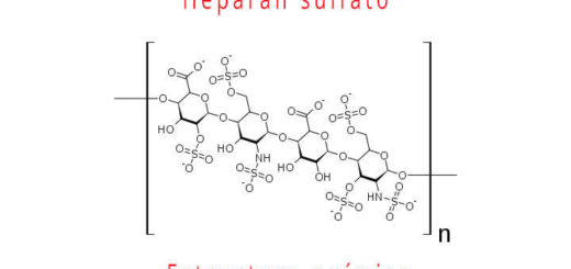 heparan sulfato estructura química