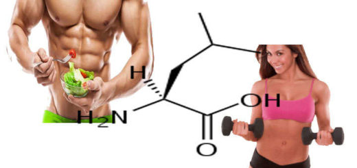 leucina formula, función y efectos secundarios