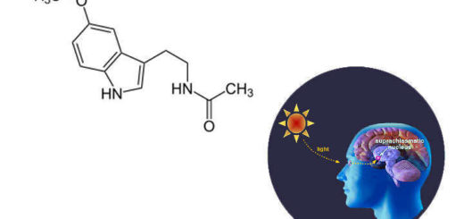 Melatonina natural para dormir bien