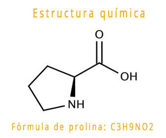 prolina estructura química y fórmula