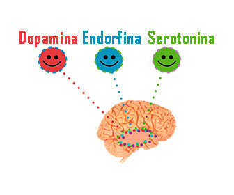 hormonas serotonina, dopamina y endorfinas