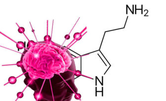 que es la serotonina