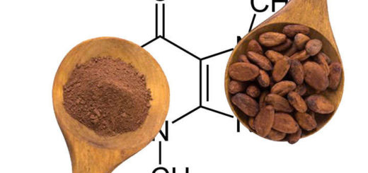 propiedades y beneficios de teobromina