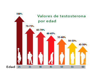 Testosterona Alta Y Baja, Qué Es, Niveles, Función En Mujeres Y Hombres