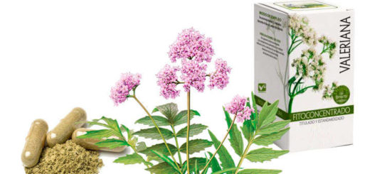 Propiedades y beneficios de valeriana officinalis