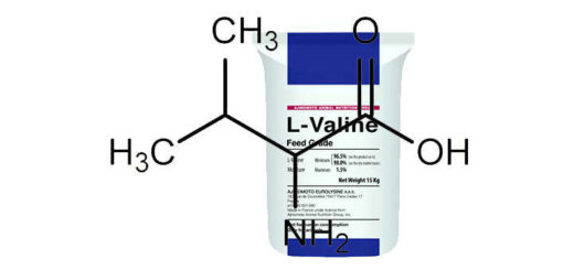 valina estructura formula