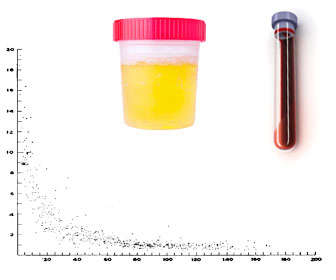 Valores normales de creatinina en sangre y orina